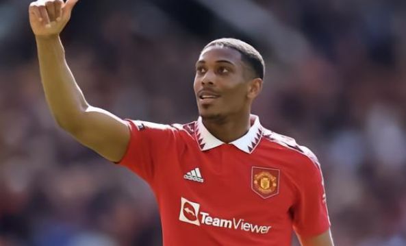 奠定了坚实 奠定了坚实